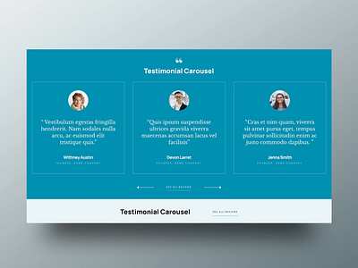 Testimonial Carousel Collection for Wordpress carousel graphic design reviews section slider slider revolution template testimonial testimonials transitions ui uiux ux webdesign wordpress