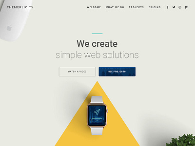 Themeplicity WordPress One-Pager