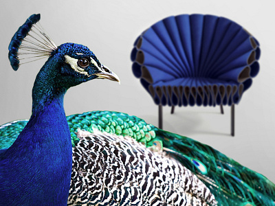 A Different Habitat - Peacock Chair animals corporate identity design designweek event event design peacock peacock chair product design productdesign