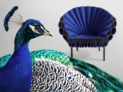 A Different Habitat - Peacock Chair