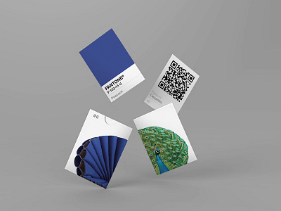 A Different Habitat - Peacock Card blue cappellini card card design chair design pantone peacock product product design qrcode