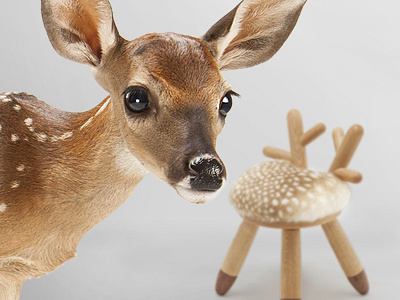 A Different Habitat - Bambi Chair animals bambi chair deer design product product design roe zoo