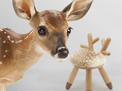 A Different Habitat - Bambi Chair