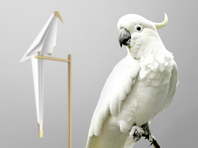 A Different Habitat - Perch light animals bird design event event design light parrot product productdesign zoo zoomorphic