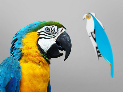 A Different Habitat - Parrot corkscrew