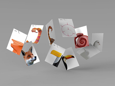 A Different Habitat - Cards animals card cards design event design graphics milan pantone product