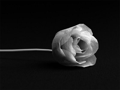 Paper Rose 3d arnold cinema4d flower nature paper render rose