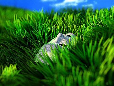 Grass Mask 3d arnold cinema4d grass lights material render visualisation