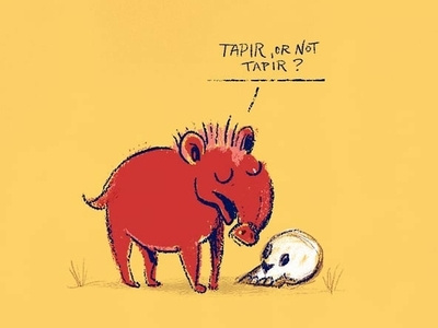 Tapir illustration
