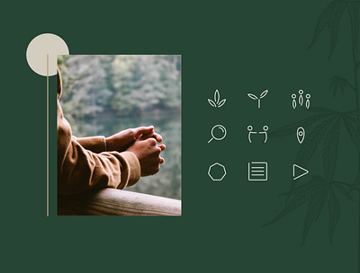 Cannabis Wise Iconography design iconography illustration responsive web design ui vancouver web design