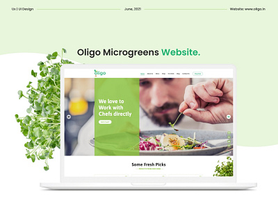 Oligo Microgreens Website clean graphic design green green screen microgreens minimalism minimalistic plants website