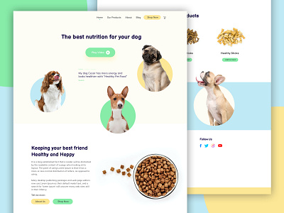 Pet Shop brand identity branding design development minimal modern ui web