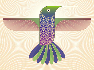 Hummingbird animal bird hummingbird illustrator pattern vector