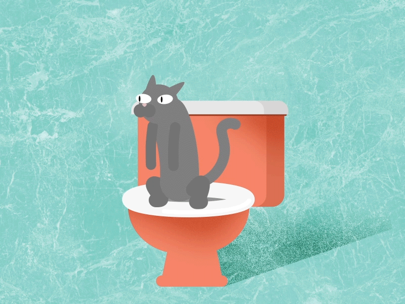 Cat On The Loo