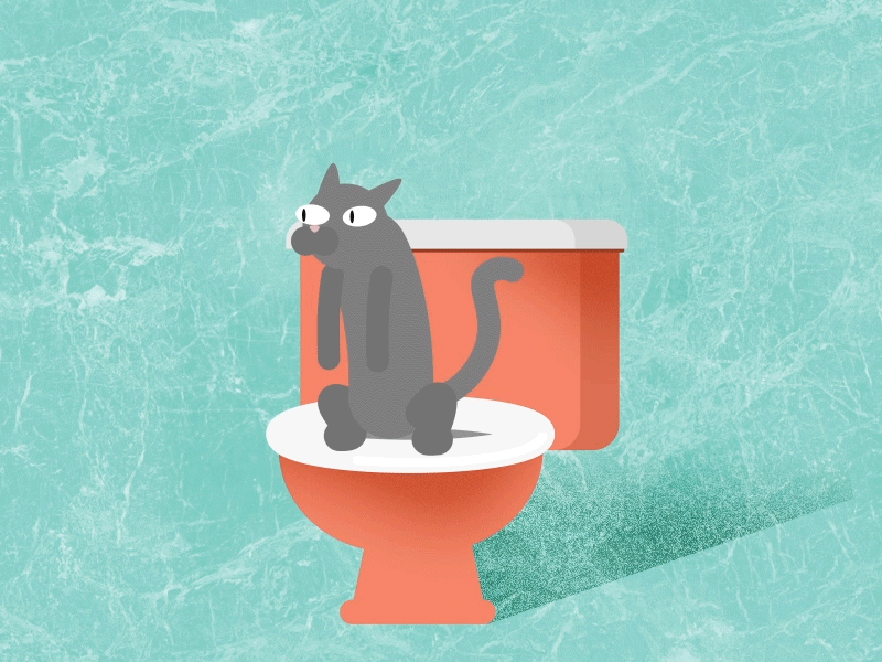 Cat On The Loo 2d animation after effects animation cat character character animation gif illustration toilet