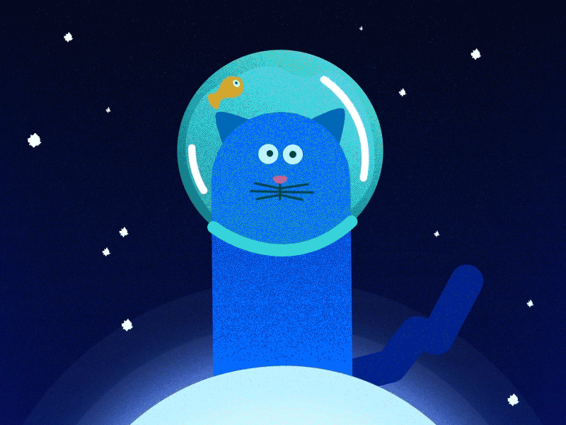 Moon Cat Doodle 2d after effects animation cat character design doodle loop moon space stars vector