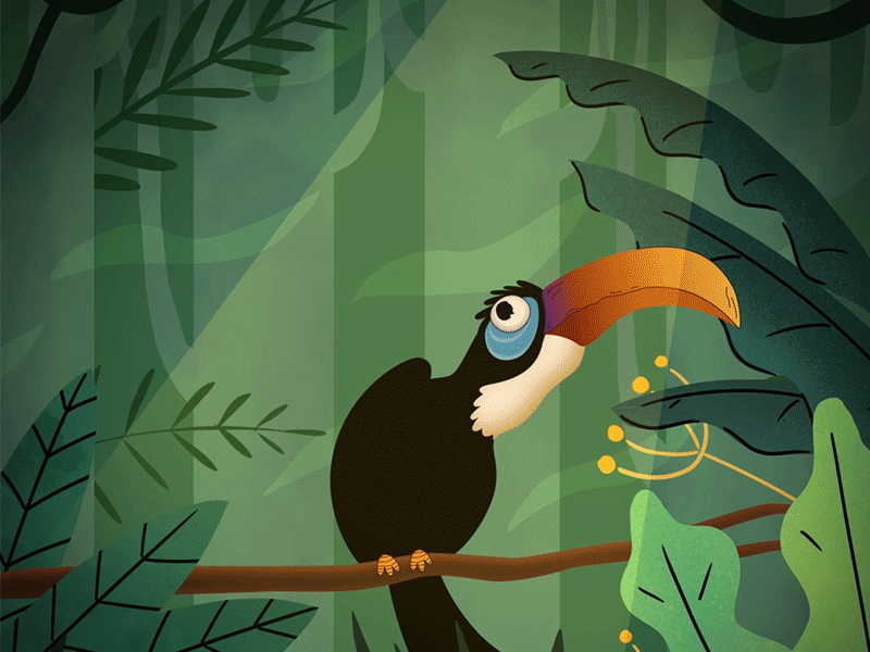 Hornbill 2d animation bird character colour doodle environment gif hornbill illustration jungle loop scene shapes smear technique texture wildlife