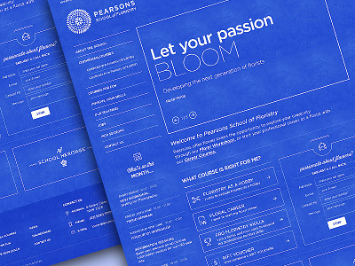 Pearsons academy website-Blue Print ecommerce shop ui web website