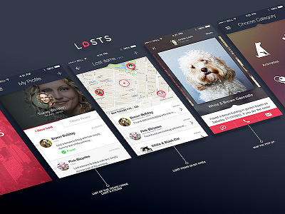 Losts iphone app lost map search app