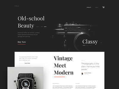 Weekly UI landing page photography ui ui design ux vintage web design