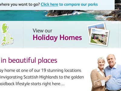 Holiday Homes design holiday ui web design webdesign