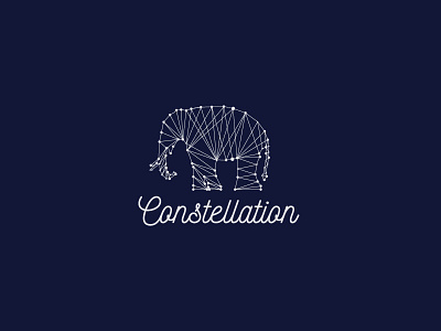 Constellation constellation design elephant logo stars vector