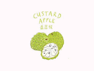 Custard Apple fruit green illustration procreate taiwan tropical fruit typogaphy