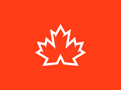 Camp Canada® logomark branding colour design icon logo thick lines ui ux vector web