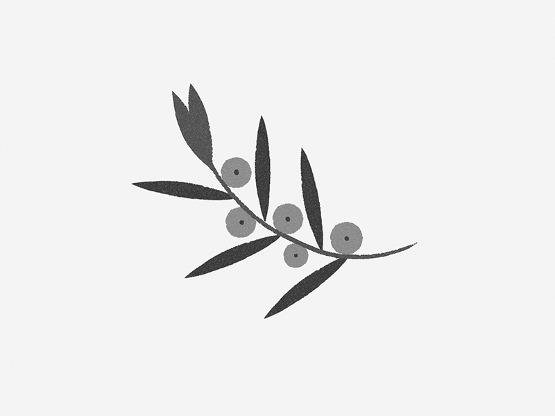 B. / W. — Plant cg haby illustration illustrator invite line natural noise photoshop plant vector