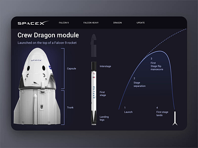 SpaceX Proto animation astronaut concept cruve dark dark theme dark ui dragon effects falcon falcon9 illustration module prototype schema space spaceship spacex ui ux
