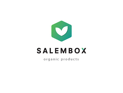 Salem box Logo Design branding design icon illustration logo minimal