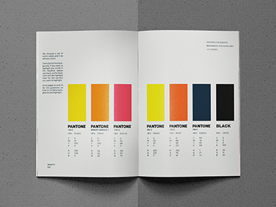 Ideators Consulting Brand Guidelines. brand branding. color colors guideline guides manual pantone