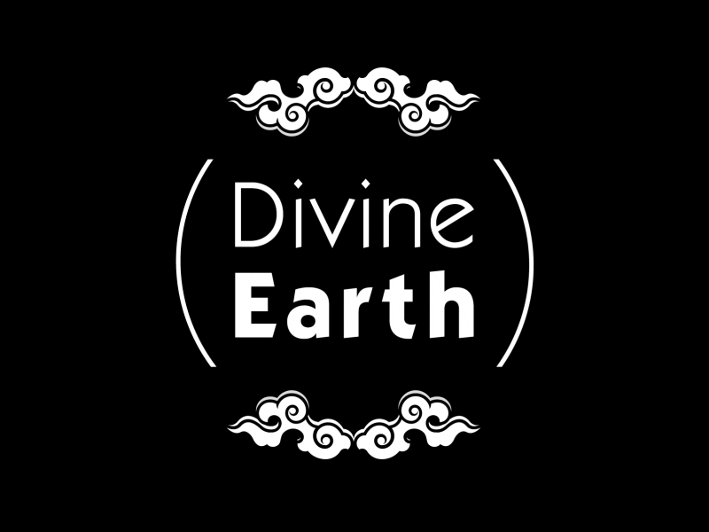 Animated Logo for Divine Earth animated animation gif graphics logo motion studio style typo typography