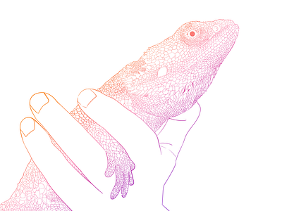 Lizard Friend