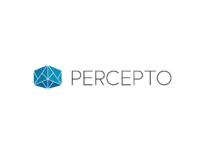 Percepto logo cube drone geometric logo plane triangles