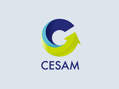 CESAM - Proposition 1 app branding client design icon illustration illustrator logo satisfaction vector