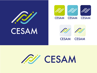 CESAM - Proposition 2 app branding client design icon illustration illustrator logo satisfaction vector