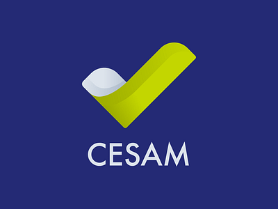 CESAM - Proposition 3 app branding client design icon illustration illustrator logo satisfaction vector