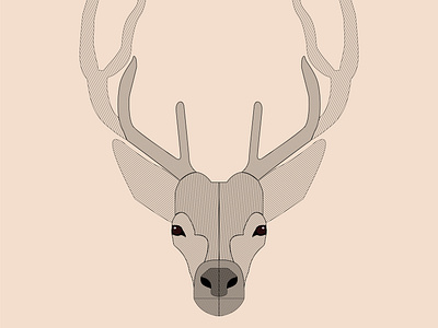 Art Lines Deer