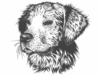 Dog' head black and white dog naimal vector