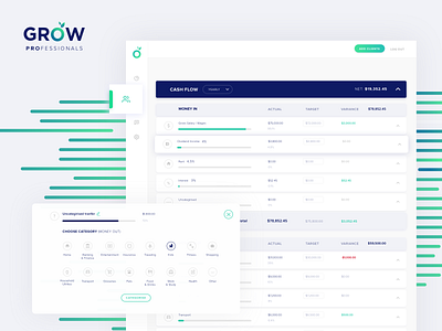 GROW Professionals Cash flow