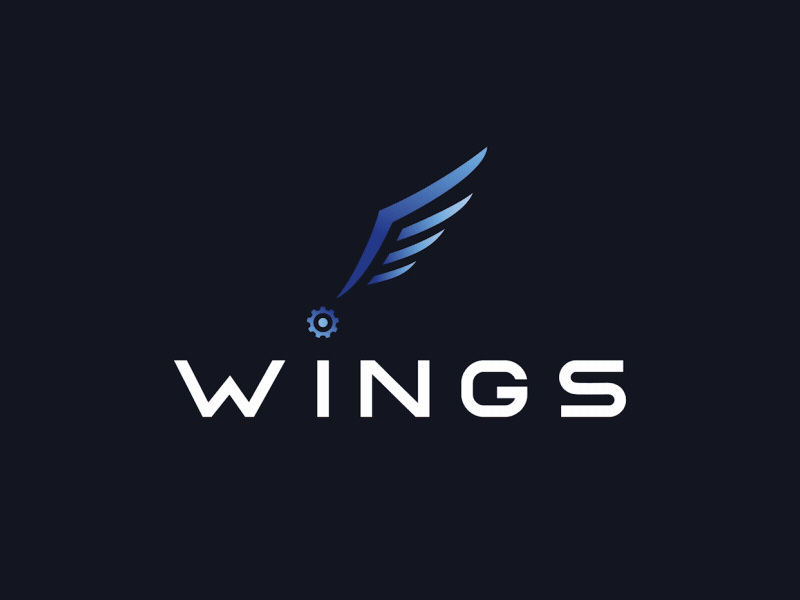 Wings Custom Intro animated logo animation custom gaming intro logo logo animation logo intro motion graphics
