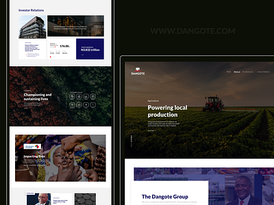 Dangote Group website industry landing page ui uiux ux web design website