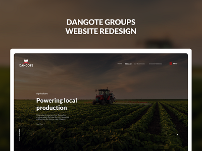 Dangote Group Website ui uiux ux web design website