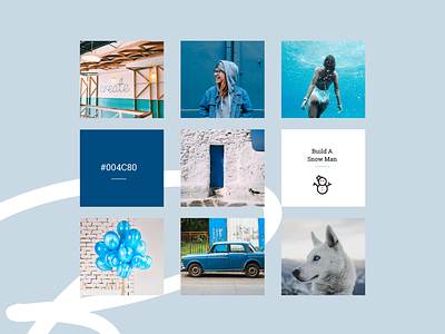 Blue Mood Board brand identity branding branding design typography uiux vector web design website