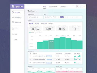 SkyparkCDN Dashboard Redesign