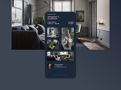 Real Estate Agency Website Concept