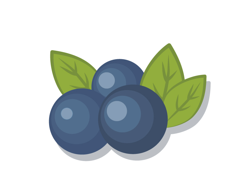 Blueberry Sauce logo