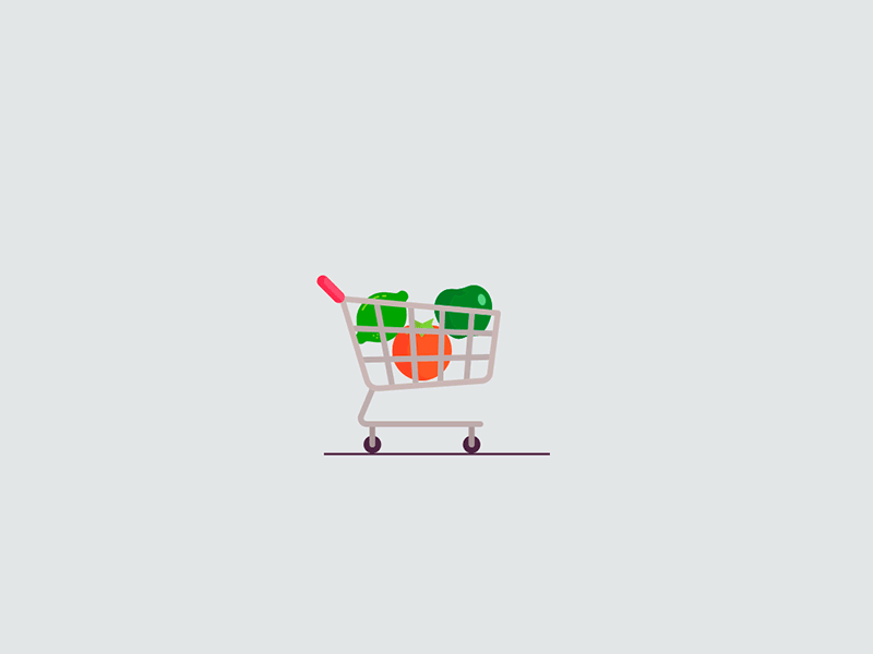 shopping basket by Daria Kanakina on Dribbble