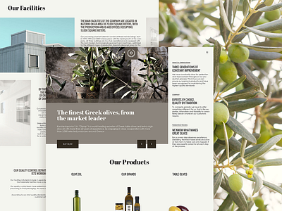 Konstolymp grid design landing page layout olive oil olives visual exploration website